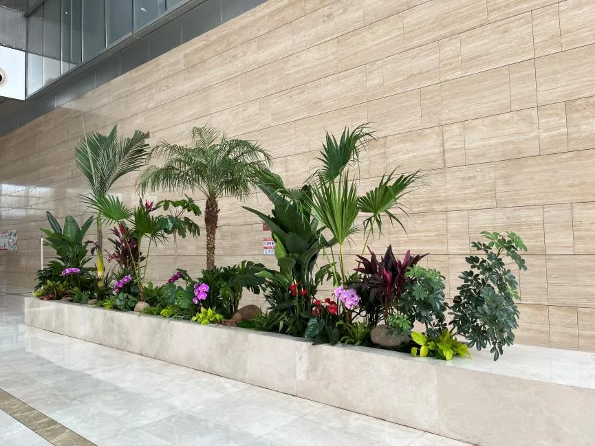 海曙盆景租摆公司，用绿植租赁焕新您的环境氛围